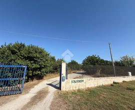 CAPANNONE A APRICENA