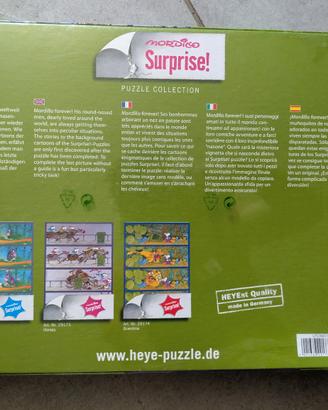 modillo haye puzzle 1000