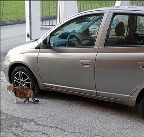 Toyota yaris 2003 benzina