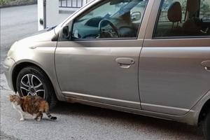 Toyota yaris 2003 benzina