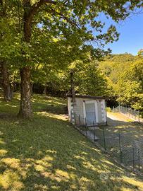 Terreno con castagni, ideale x momenti di relax