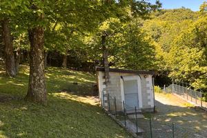 Terreno con castagni, ideale x momenti di relax