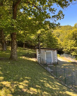 Terreno con castagni, ideale x momenti di relax