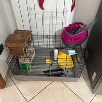 Gabbia e accesdori per piccoli/medi roditori