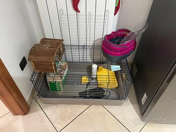 Gabbia e accesdori per piccoli/medi roditori