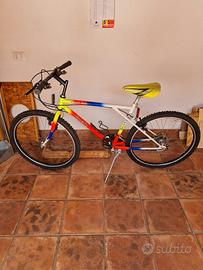 bicicletta 