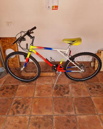 bicicletta 