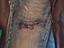 Immagine 4