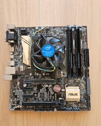 Asus Z170M-PLUS e Intel i5 6600