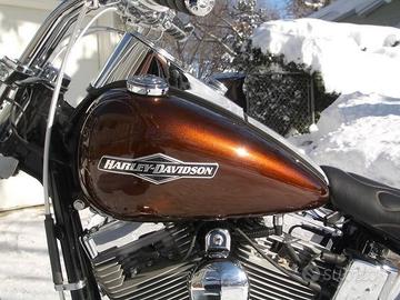 Placche fregi scritte serbatoio harley davidson