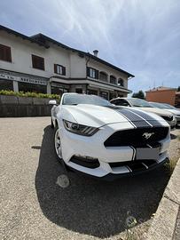 Mustang 3.7 v 6