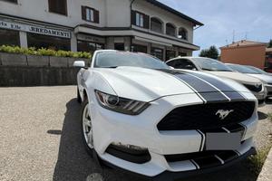 Mustang 3.7 v 6