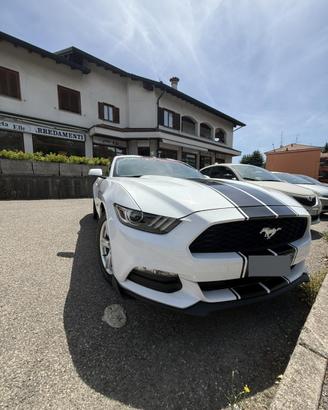 Mustang 3.7 v 6