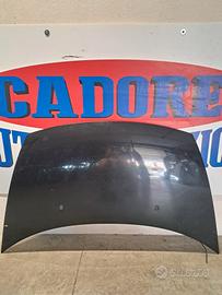 Cofano Citroen C3 1° serie 1.4 benzina del 2004