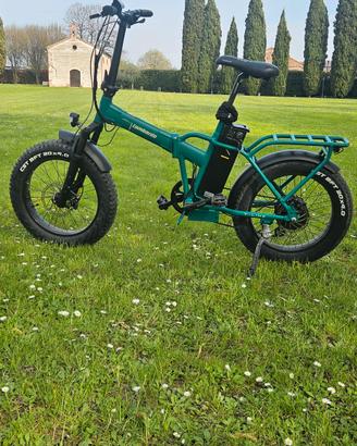 Bici elettrica 