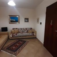 Appartamento centro Nettuno