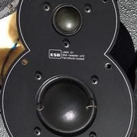 Coppia Uma 51 ESB ce r co