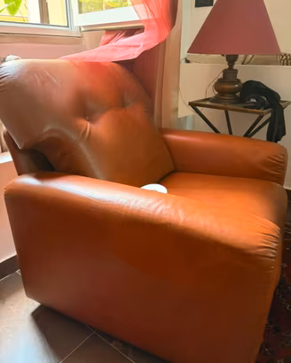 poltrone di pelle