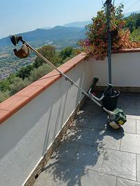 Decespugliatore a Scoppio Parkside usato