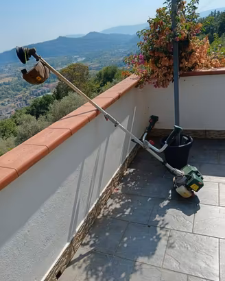 Decespugliatore a Scoppio Parkside usato