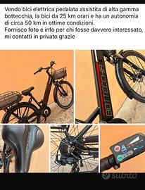 Bicicletta elettrica pedalata assistita
