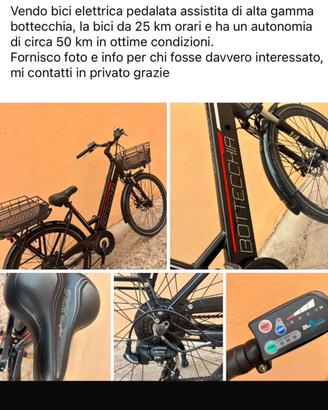 Bicicletta elettrica pedalata assistita