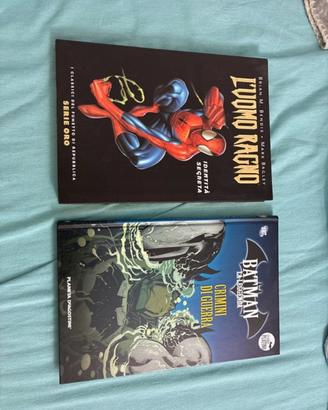 LOTTO FUMETTI MARVEL + DC