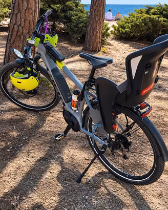 Ebike Trek Powerfly Sport Equiped
