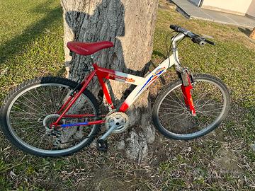 Bicicletta Mountain bike e bicicletta da uomo