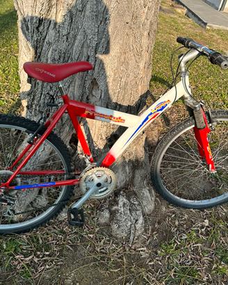 Bicicletta Mountain bike e bicicletta da uomo