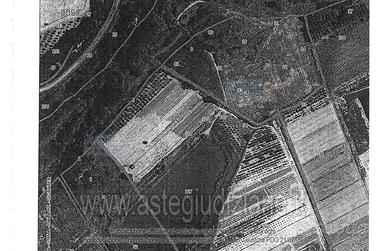 Terreno Agricolo Montescudaio [A4347147]