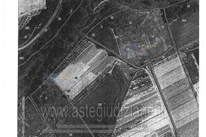 Terreno Agricolo Montescudaio [A4347147]