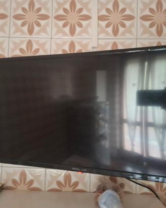 Tv marca Bolva