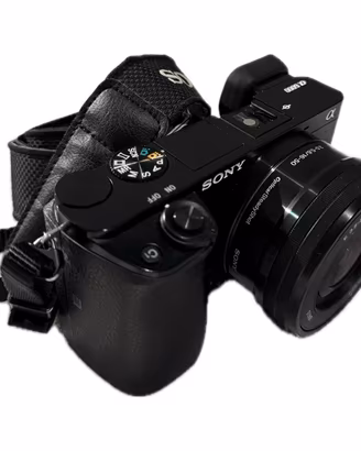 Sony Alpha a6000 + 16-50mm OSS