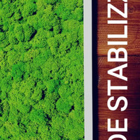 Verde stabilizzato: quadri e pareti