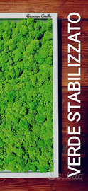 Verde stabilizzato: quadri e pareti