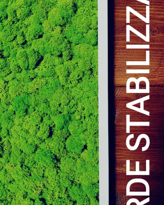 Verde stabilizzato: quadri e pareti