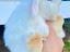 Immagine 6