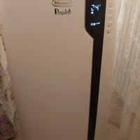 PINGUINO DE LONGHI PAC EX 100 SILENT