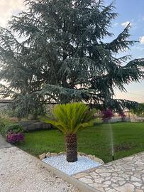 Casa vacanza basilicata