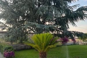 Casa vacanza basilicata