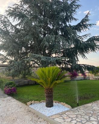 Casa vacanza basilicata