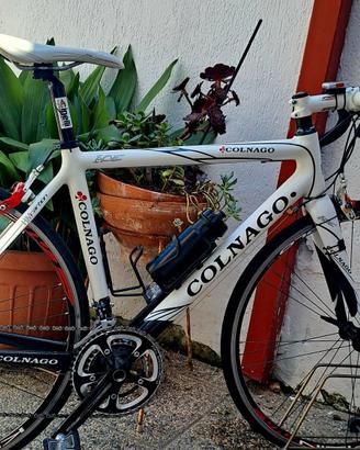 Bici da corsa Colnago Ace carbon TG 52/53 10 v