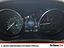 Immagine 11