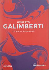 Galimberti, Psichiatria e fenomenologia