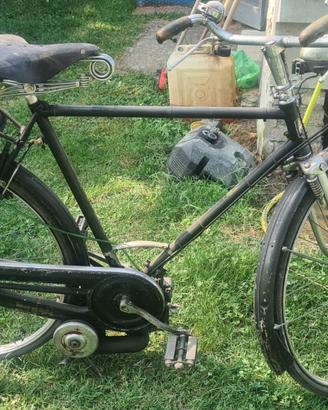 Bicicletta con motore
