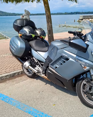 Kawasaki 1400 gtr