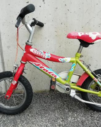 Bicicletta per piccoli
