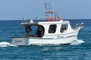 Barca con licenza in vetroresina 2gt 44kw