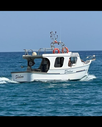 Barca con licenza in vetroresina 2gt 44kw